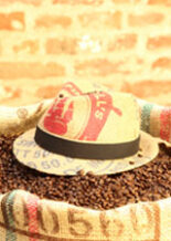 {{brizy_dc_image_alt imageSrc=